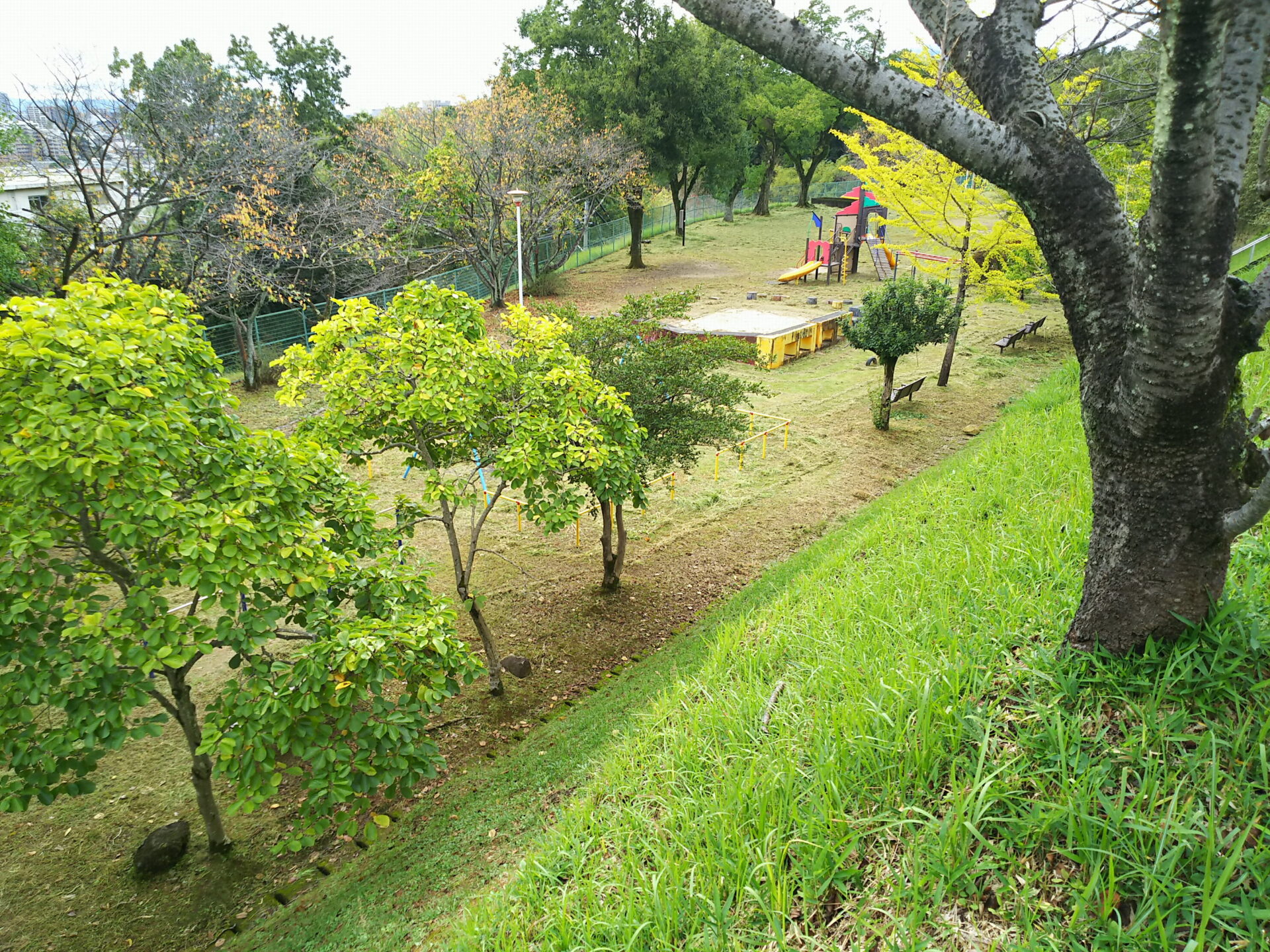 霊園下の公園